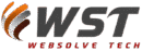 Web Solve Tech